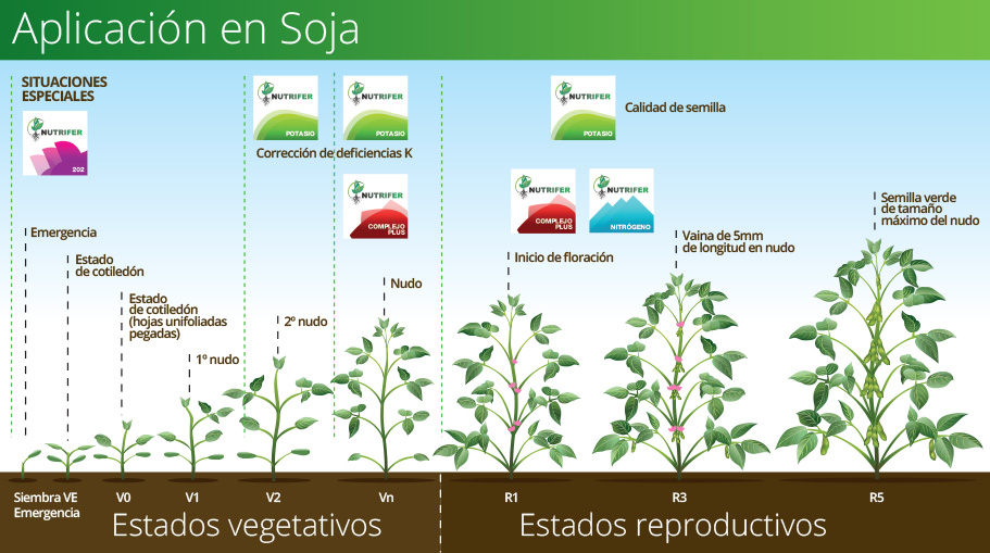 NUTRIFER - aplicaciones en Soja